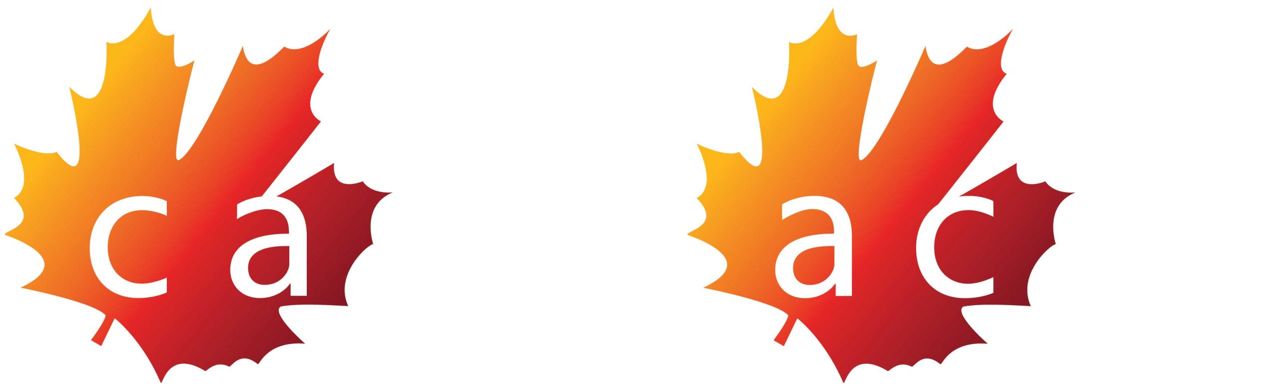 CASE logo